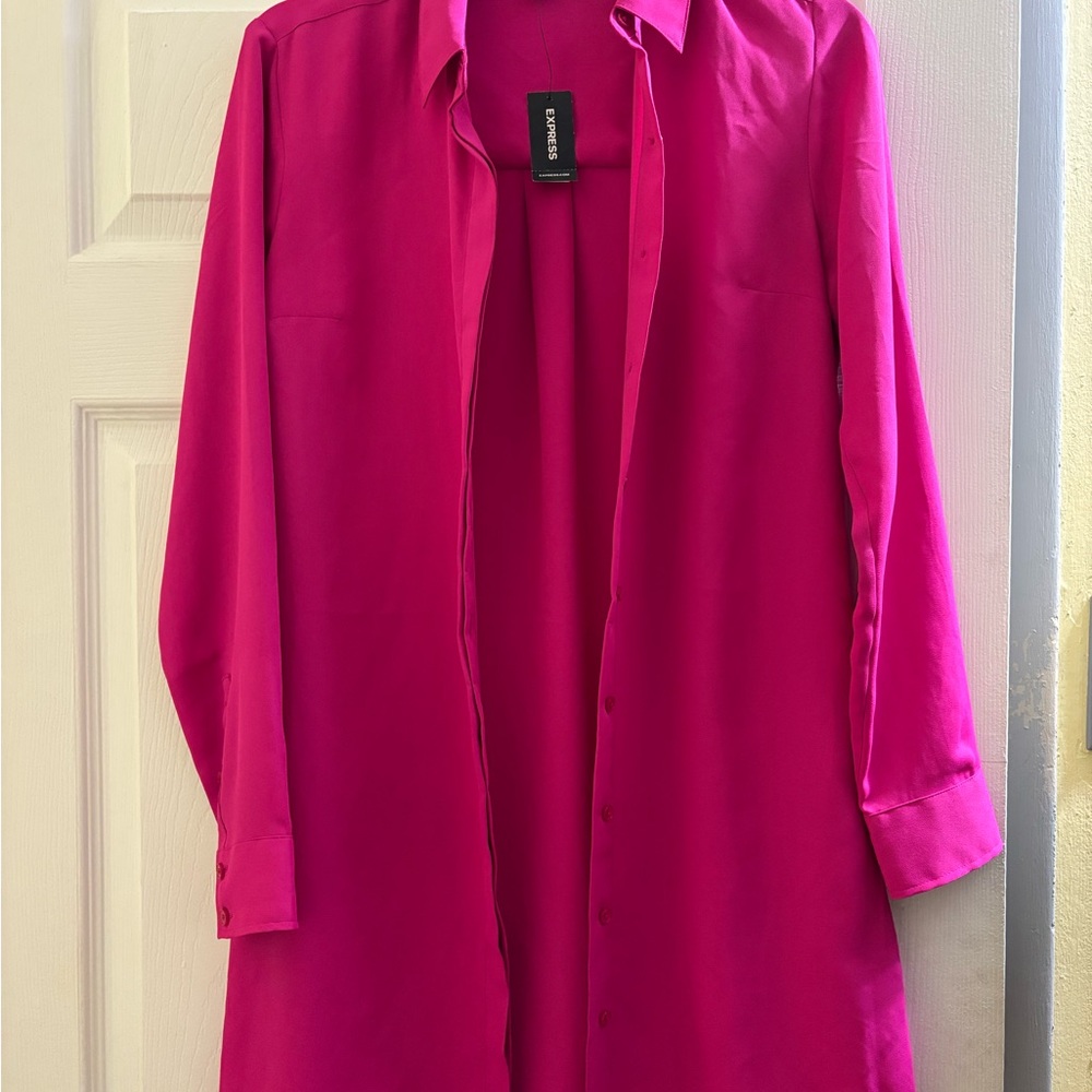 Express Fuchsia Shirt Dress